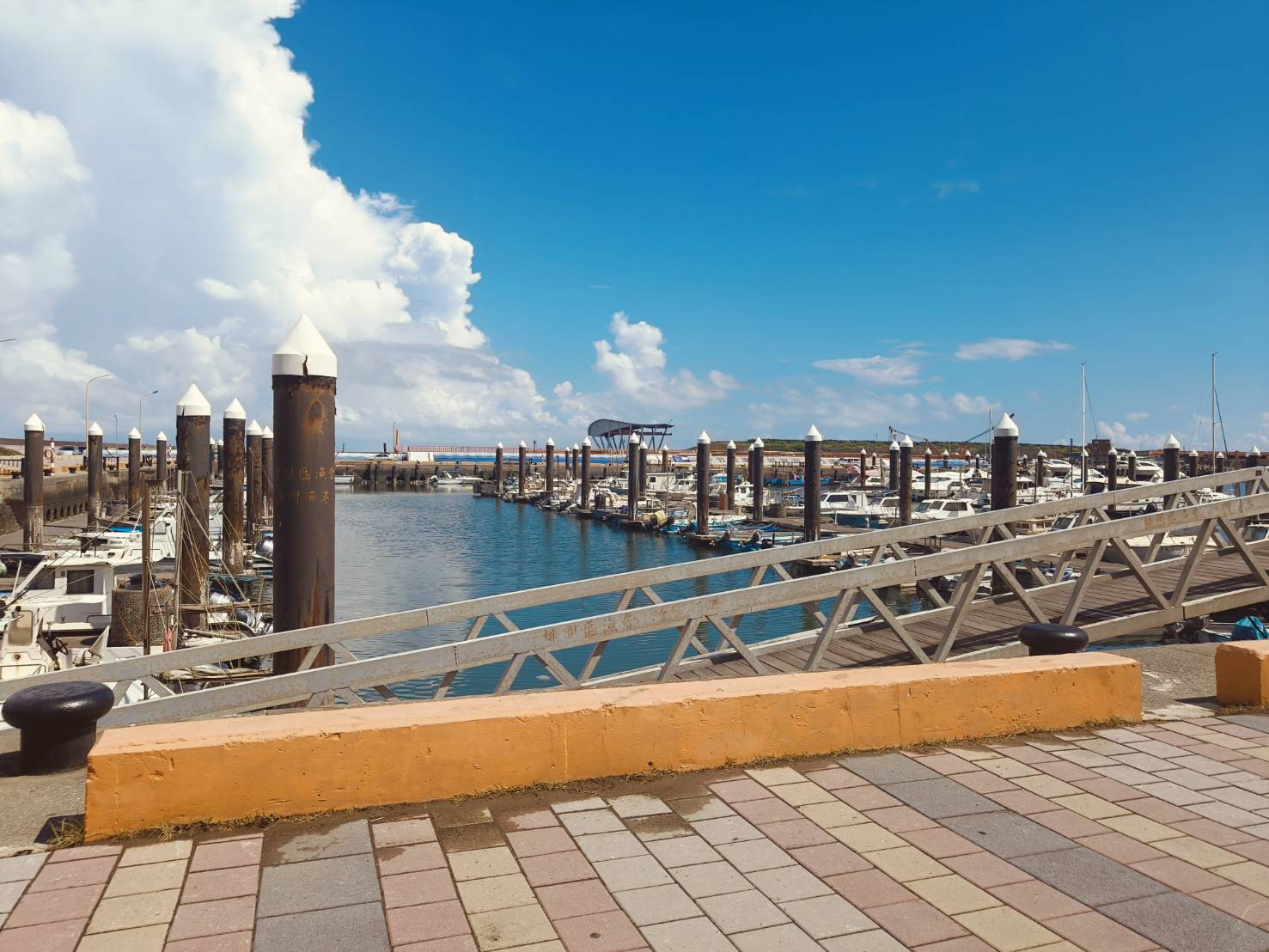 桃園海岸魅力滿點 竹圍永安雙漁港賞景品鱻超人氣