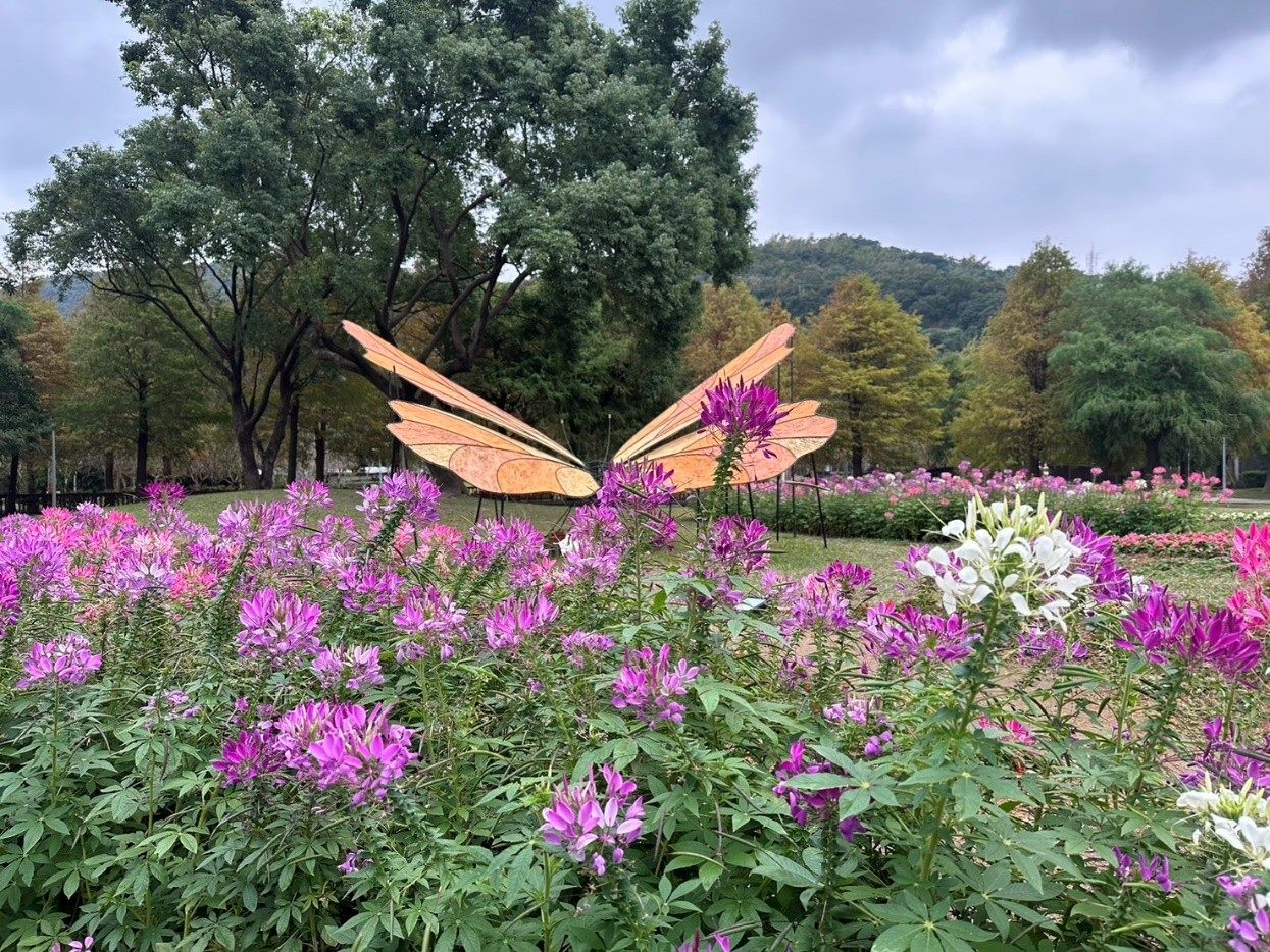 落羽松和醉蝶花 圖/臺北市政府