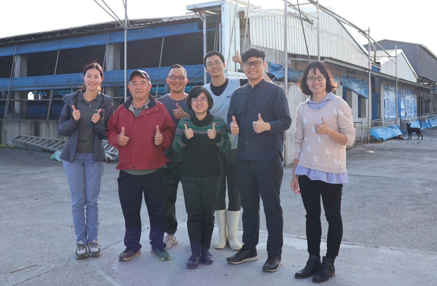 青創獸醫升級設備產檢母豬　「合宇興」守護畜牧業