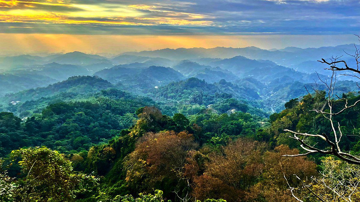 探索台中大坑2號步道 感受彩色森林魅力 探索台中大坑2號步道 感受彩色森林魅力