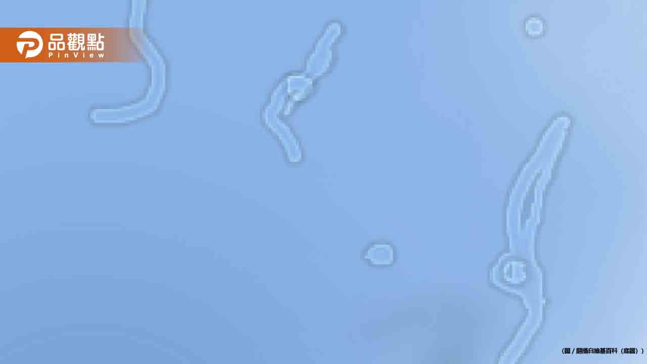 飛蚊症患者快看！研究：鳳梨木瓜無花果酵素有助改善