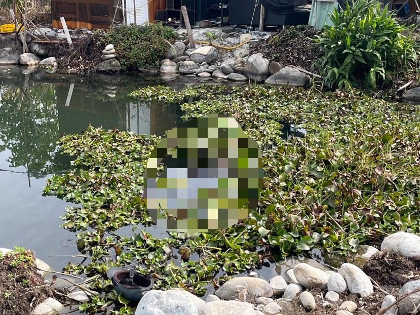 中市水池驚見浮屍 警:初步排除外力將由地檢署相驗 中市水池驚見浮屍 警:初步排除外力將由地檢署相驗