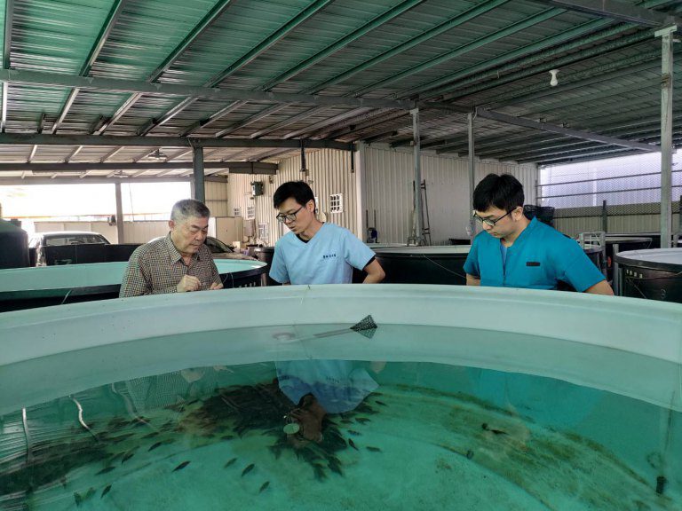 立春魚苗放養黃金期  「預防勝於治療」 立春魚苗放養黃金期  「預防勝於治療」