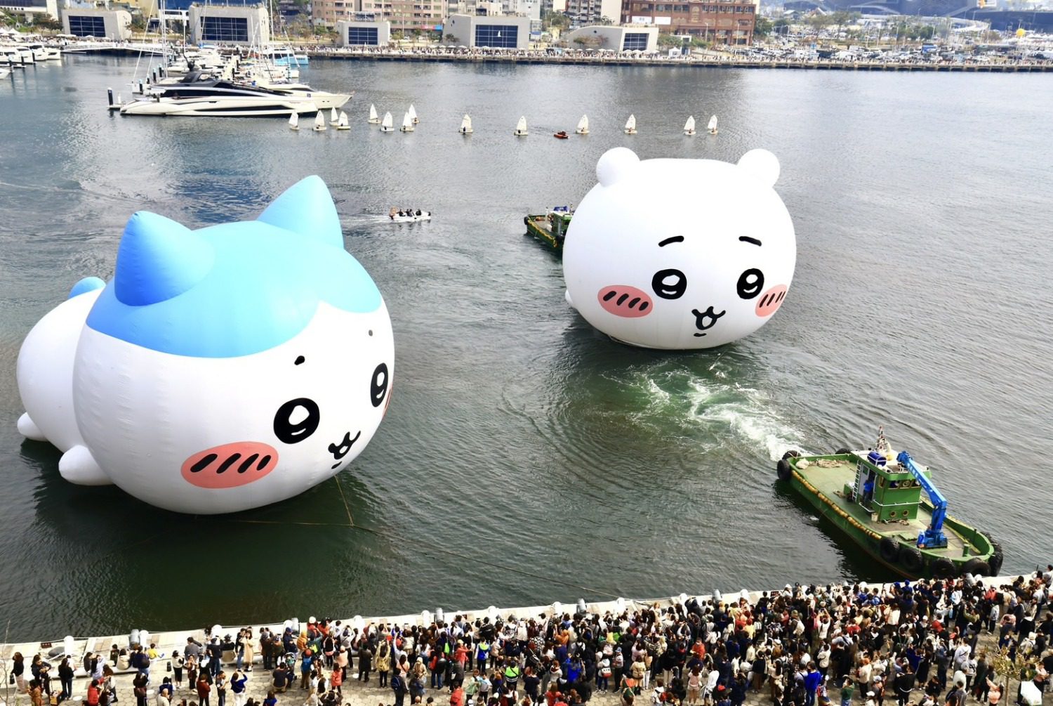 吉伊卡哇擁萬人祝福快樂漫遊愛河灣  與小八貓、兔兔相見歡