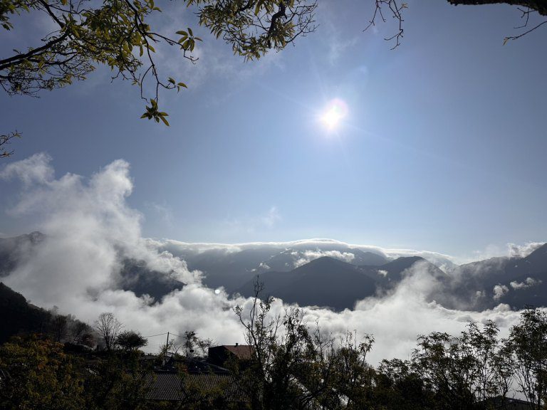 清境雲海大景! 體驗冬日浪漫奔羊 清境雲海大景! 體驗冬日浪漫奔羊