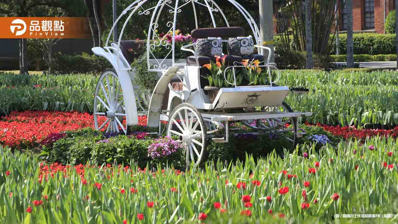 士林官邸鬱金香展將登場！絕美花海估吸引40萬人