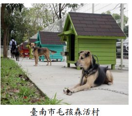 臺南市動物之家犬隻收容空間不足   遭主管機關促請改善 臺南市動物之家犬隻收容空間不足   遭主管機關促請改善
