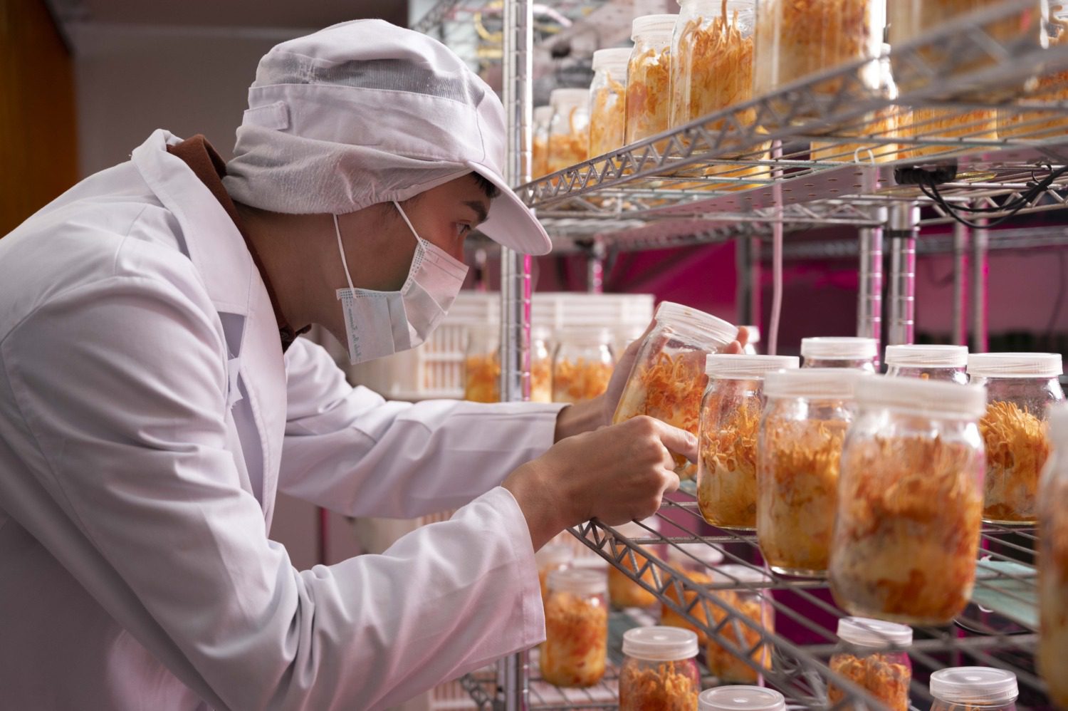 突破傳統!「凍晶蛹蟲草」助力健康保養新未來 突破傳統!「凍晶蛹蟲草」助力健康保養新未來