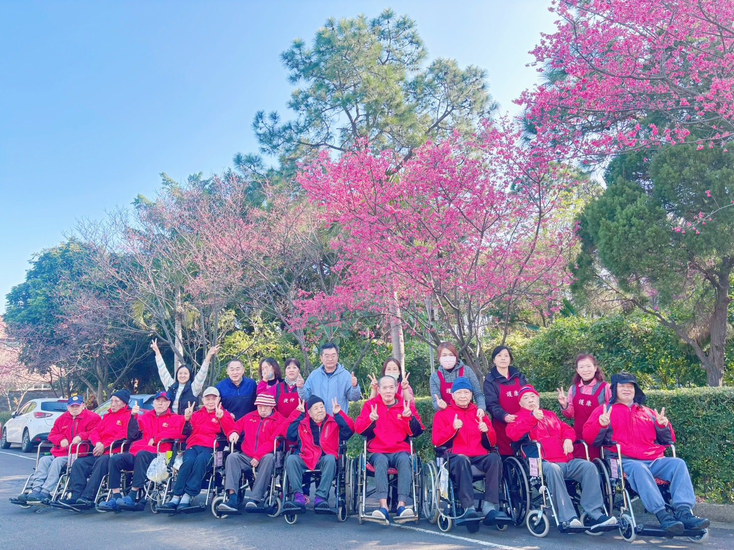 桃園榮家櫻花季登場 長輩開心拍美照抽小禮物 桃園榮家櫻花季登場 長輩開心拍美照抽小禮物