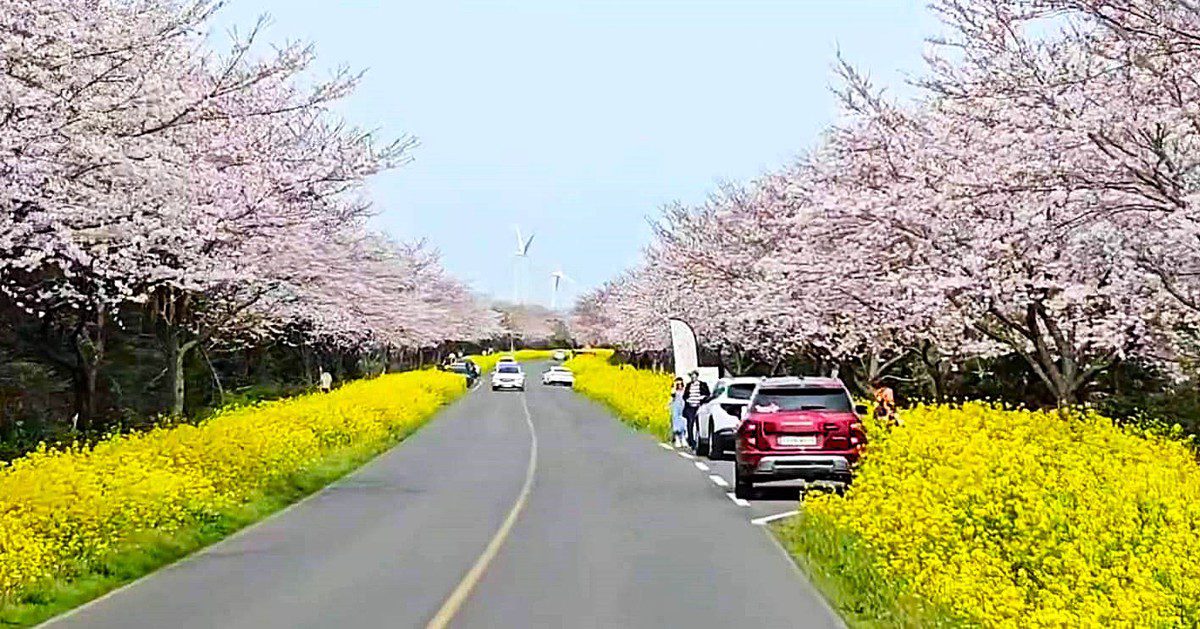 2025歌詩達郵輪莎倫娜號熱鬧出航 2025歌詩達郵輪莎倫娜號熱鬧出航