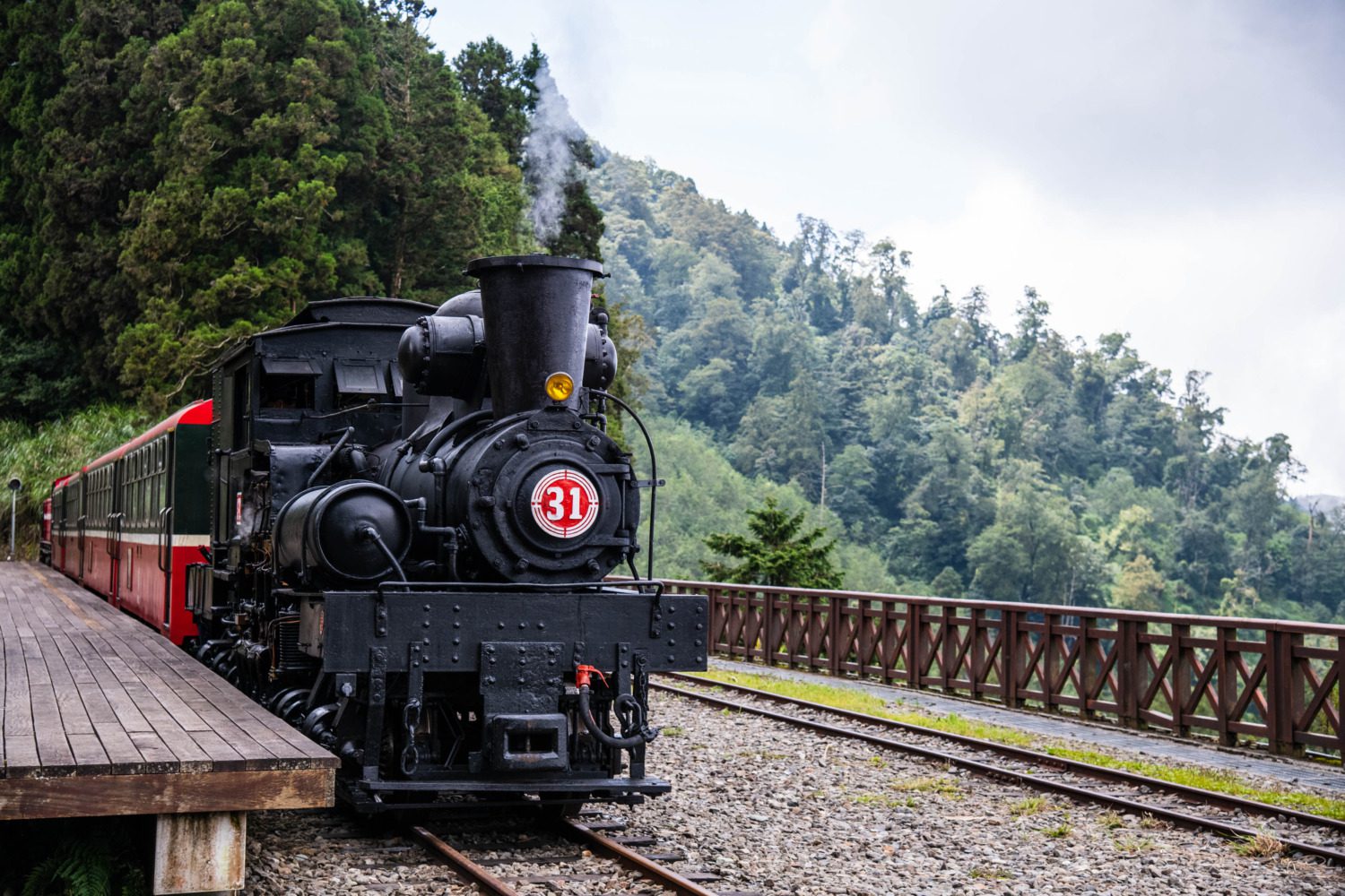全臺最高鐵道春季遊　阿里山百年蒸機賞櫻列車開跑