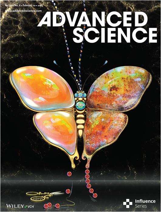 中國醫藥大學校長洪明奇院士團隊  聯合發表抗癌治療創新性研究成果