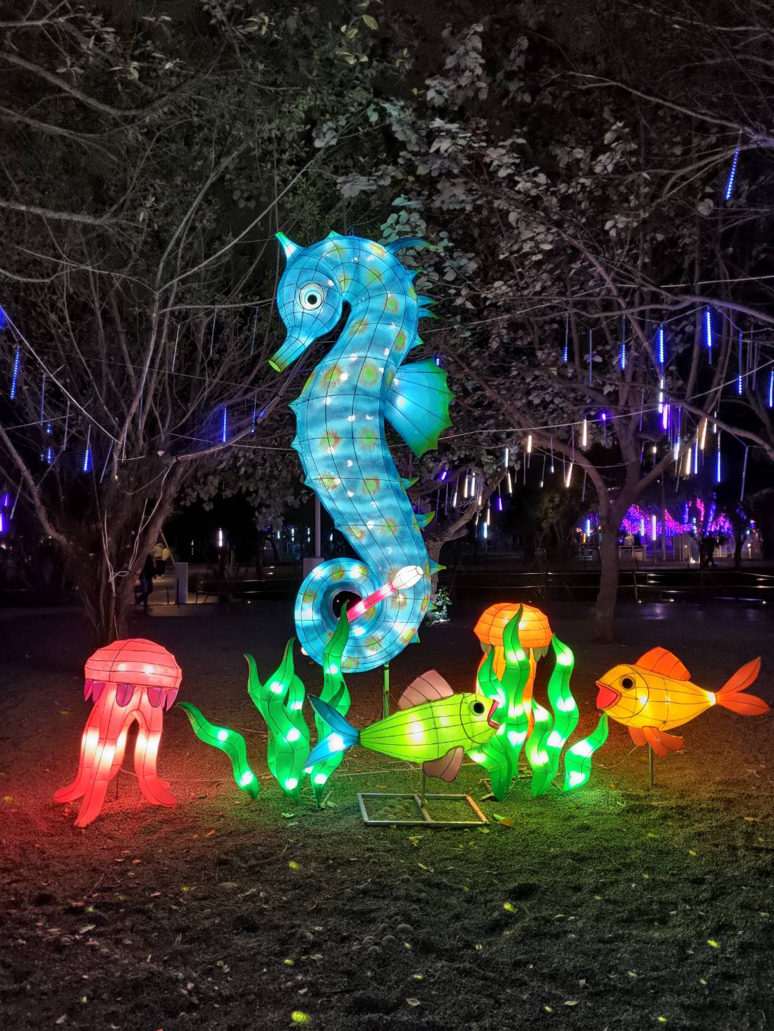 ESG遠見評為綠色亮點 中市農業局「海洋奇幻冒險燈區」光武騎士海馬燈組備受討論 ESG遠見評為綠色亮點 中市農業局「海洋奇幻冒險燈區」光武騎士海馬燈組備受討論