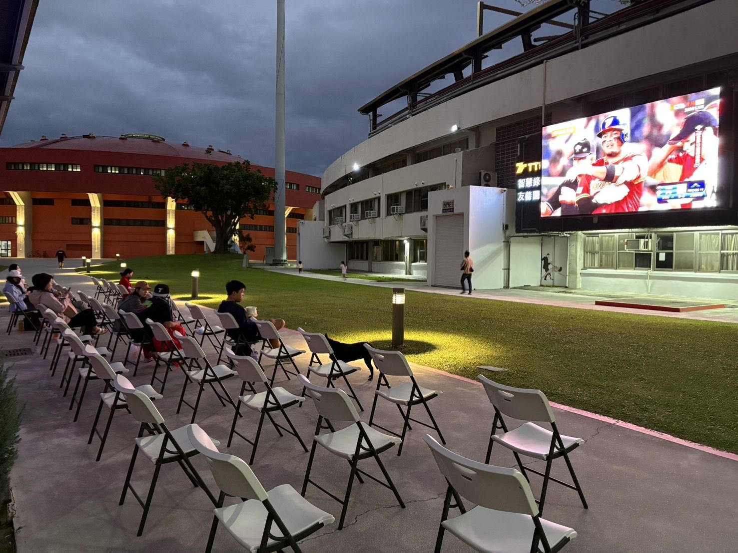 一同為中華隊選手加油! 臺東縣府連3天轉播世界棒球經典賽資格賽 一同為中華隊選手加油! 臺東縣府連3天轉播世界棒球經典賽資格賽