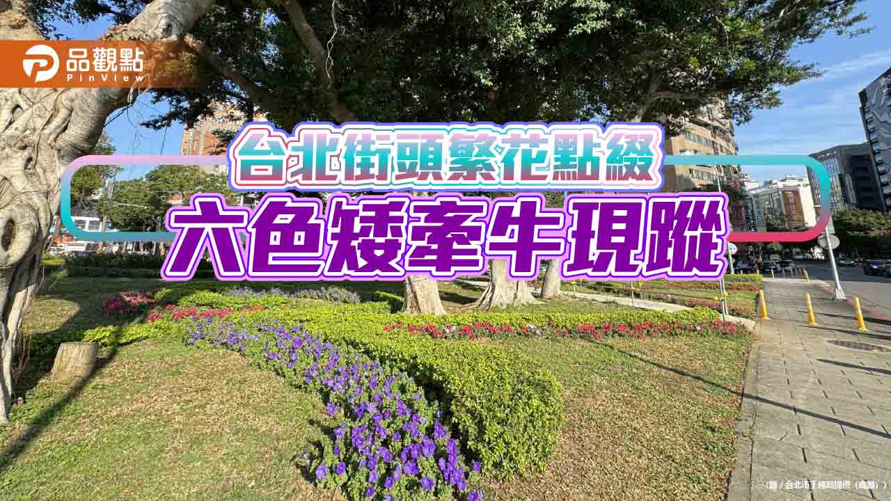 台北街頭繁花點綴 六色矮牽牛現蹤 台北街頭繁花點綴 六色矮牽牛現蹤