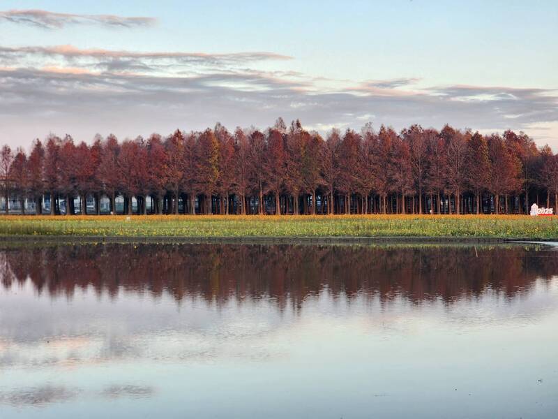 228連假攻略 把握燈會尾聲 臺南享受花季漫遊之旅 228連假攻略 把握燈會尾聲 臺南享受花季漫遊之旅