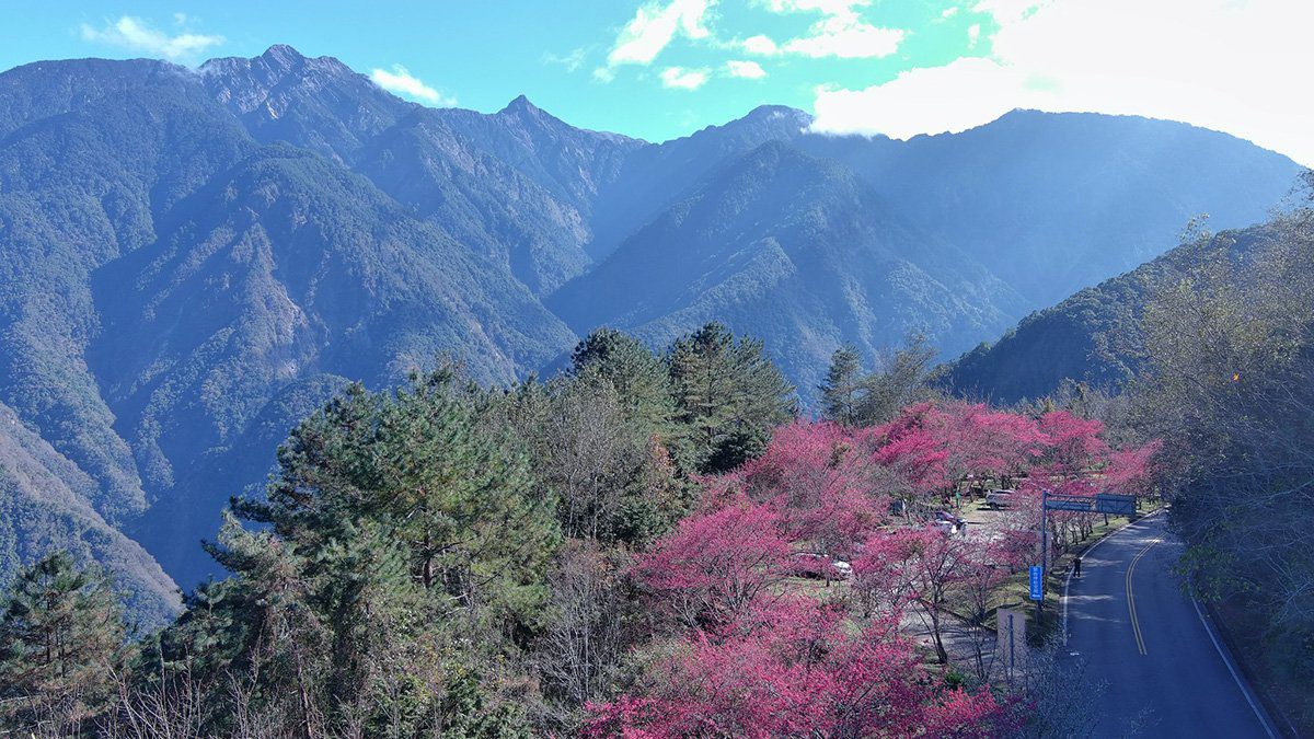 台21線最美景觀公路春賞櫻花、冬迎霜雪,感受四季變幻之美 台21線最美景觀公路春賞櫻花、冬迎霜雪,感受四季變幻之美