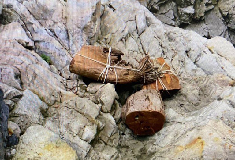 山老鼠竊國有肖楠木 信義警查獲法辦 山老鼠竊國有肖楠木 信義警查獲法辦