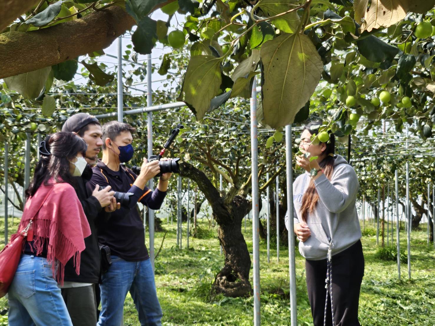 再次攜手東京電視購物 高雄首選打響2025東京國際食品展前哨站 再次攜手東京電視購物 高雄首選打響2025東京國際食品展前哨站