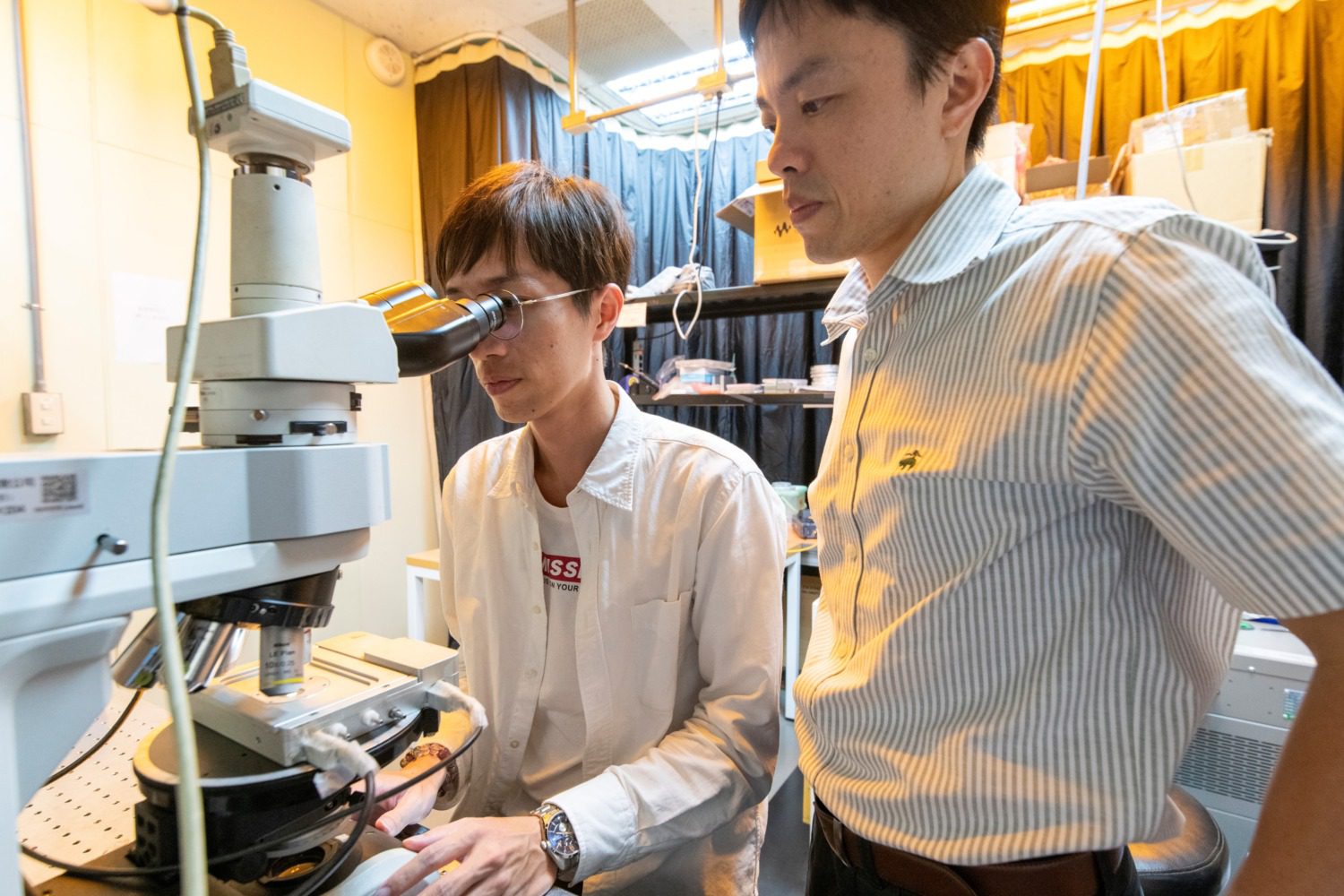 研究液晶光電有成 中山大學林宗賢獲美國光學會士 研究液晶光電有成 中山大學林宗賢獲美國光學會士