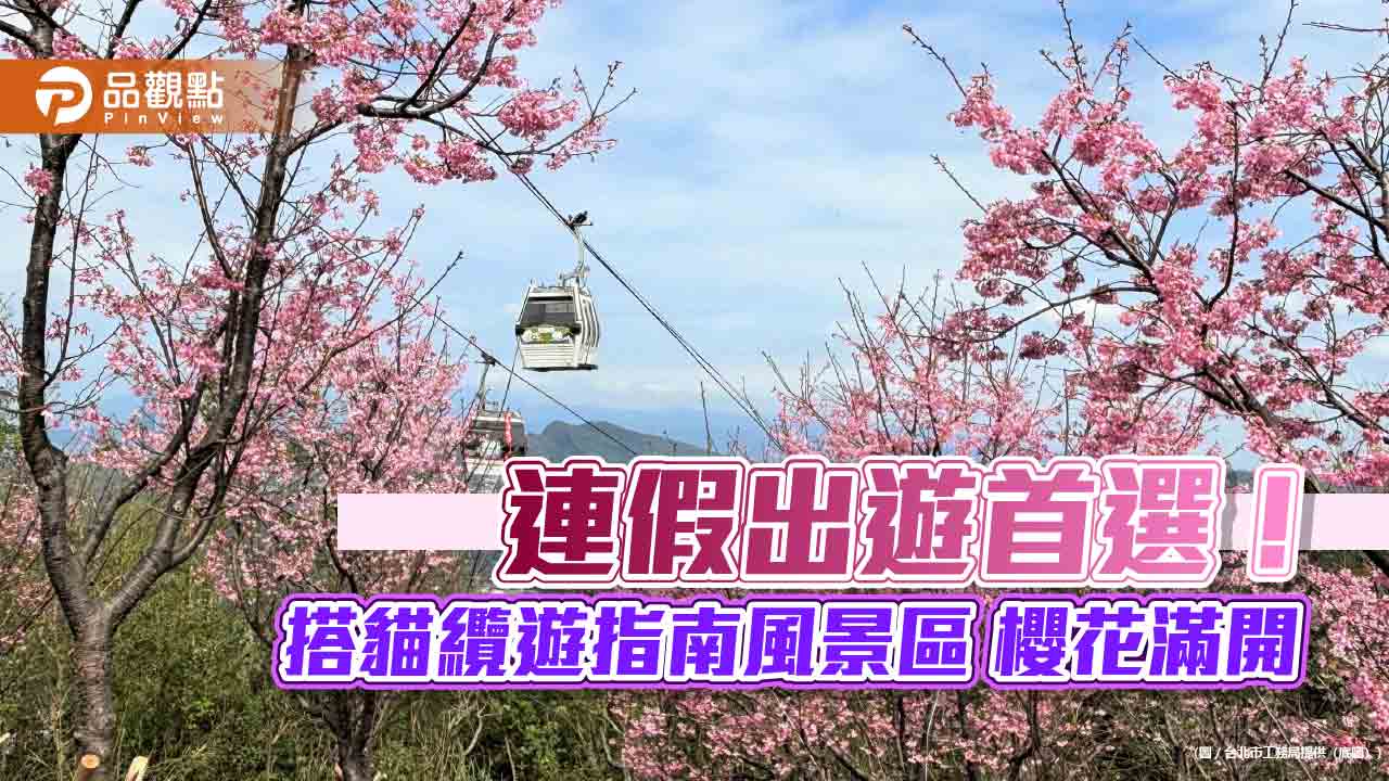 連假出遊首選！ 搭貓纜遊指南風景區 櫻花滿開