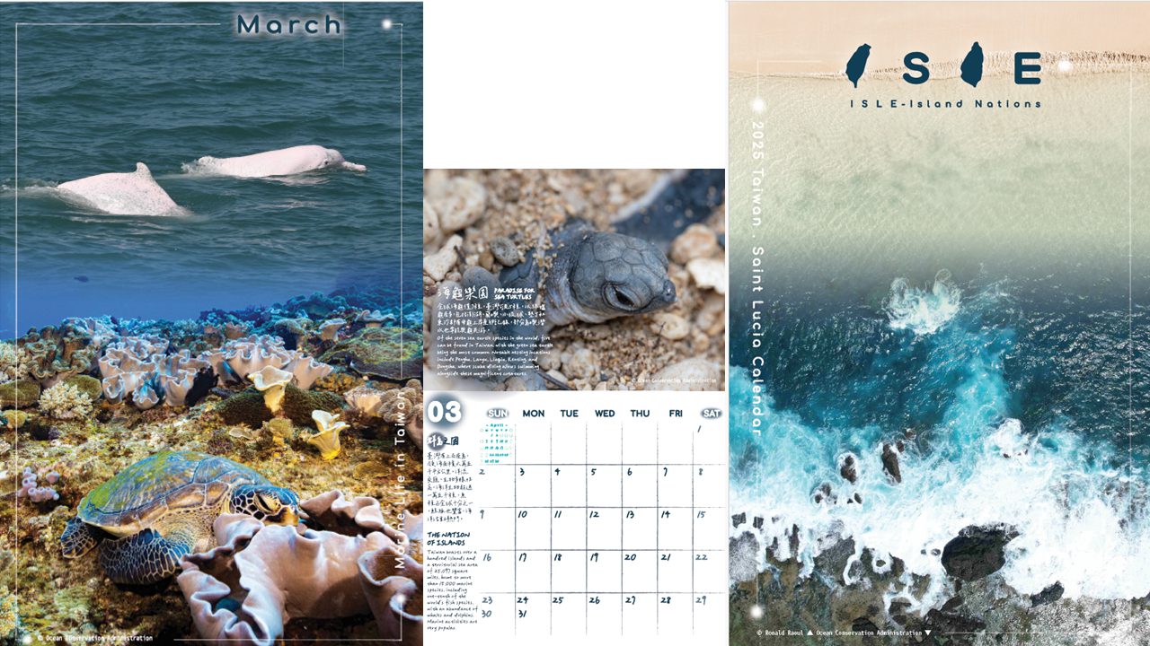 臺灣×聖露西亞深化交流 海洋保育繪本、2025桌曆搭文化與教育橋樑 臺灣×聖露西亞深化交流 海洋保育繪本、2025桌曆搭文化與教育橋樑