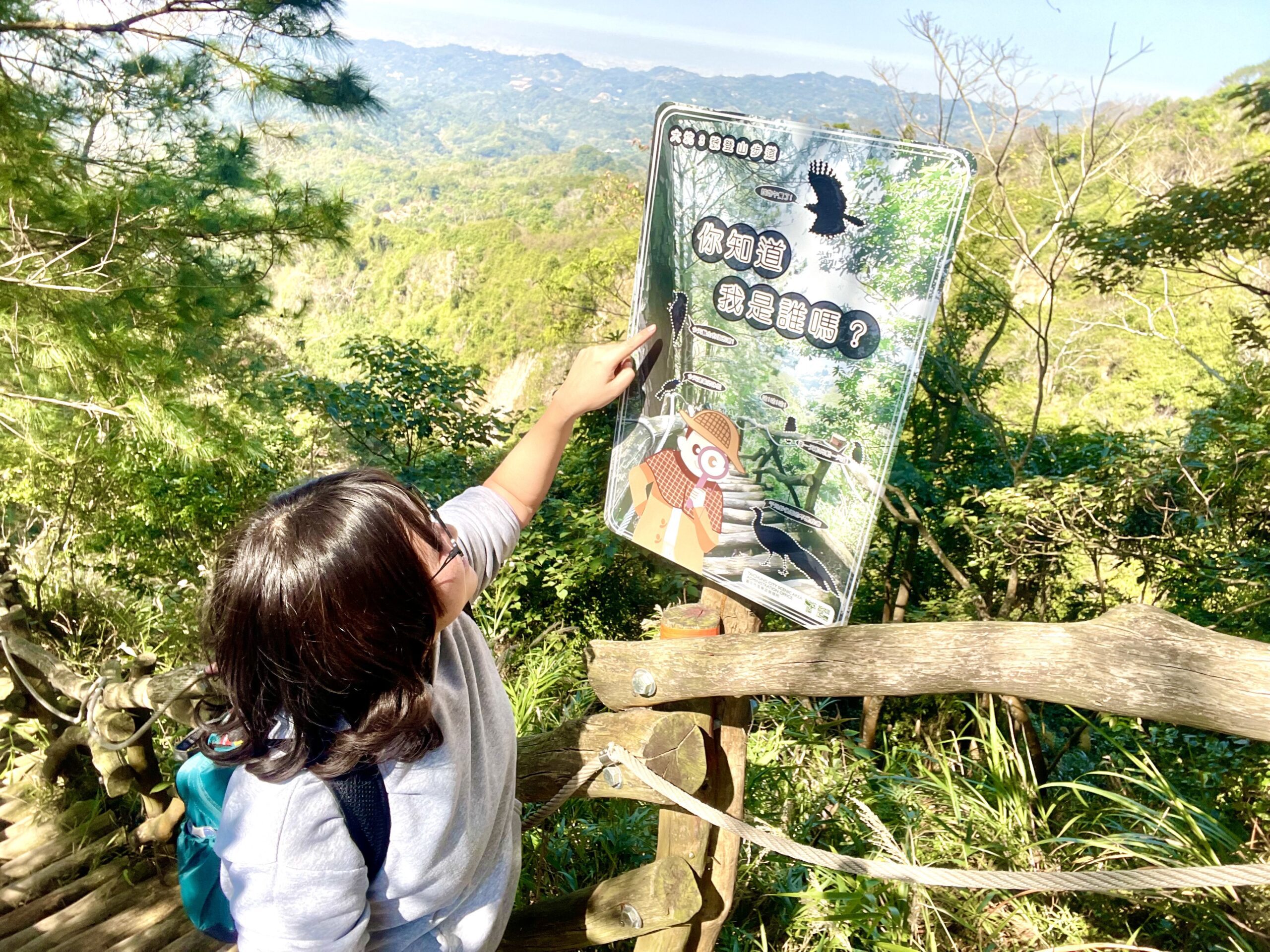 開箱台中大坑賞鳥秘境　中市觀旅局邀民眾探索3號鳥語步道