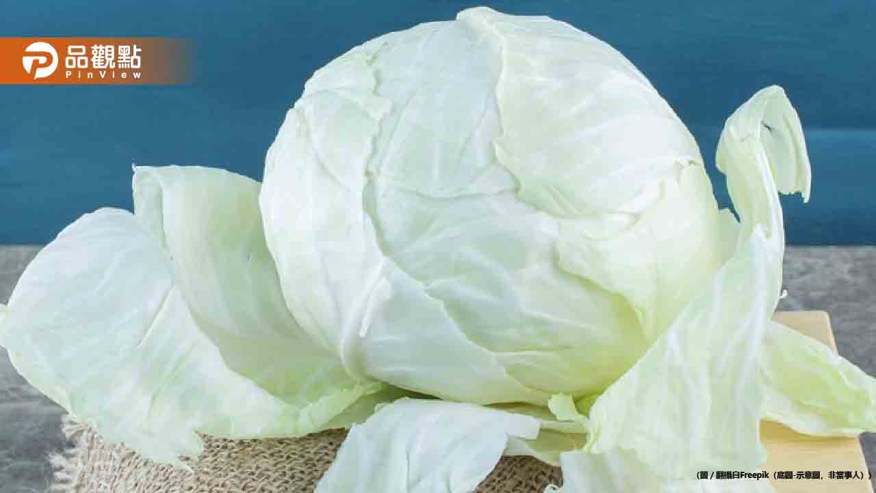 高麗菜價格暴跌！買重還是買輕的？這樣挑脆又甜