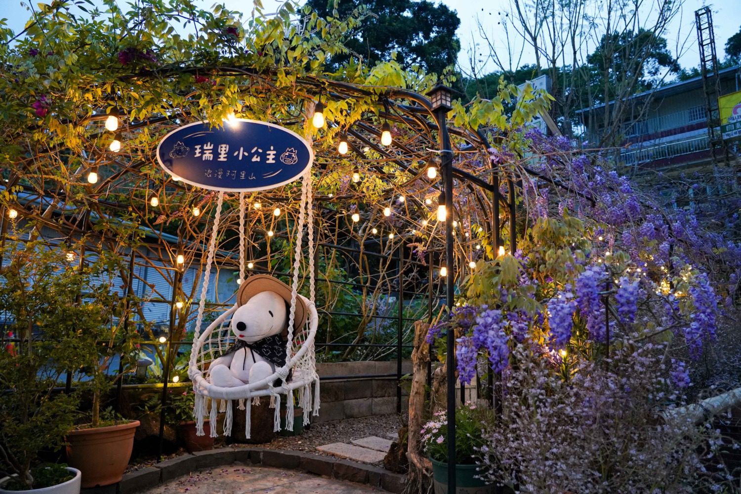 春季浪漫之旅:嘉義瑞里咖啡館與紫藤花海的完美結合 春季浪漫之旅:嘉義瑞里咖啡館與紫藤花海的完美結合