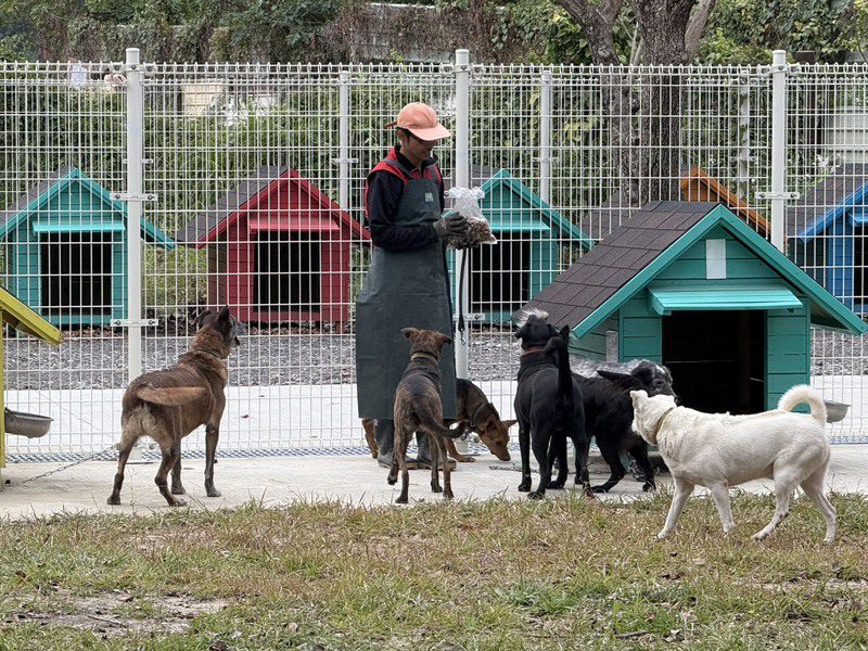 毛孩森活村展現人犬共融新模式 首隻犬隻成功認養 毛孩森活村展現人犬共融新模式 首隻犬隻成功認養