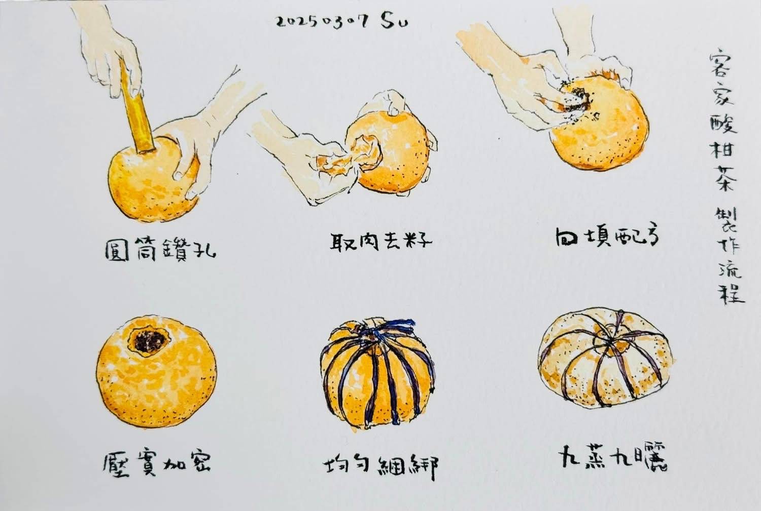 推動客家文化傳承 蘇俊賓親自學習酸柑茶製作工藝 推動客家文化傳承 蘇俊賓親自學習酸柑茶製作工藝