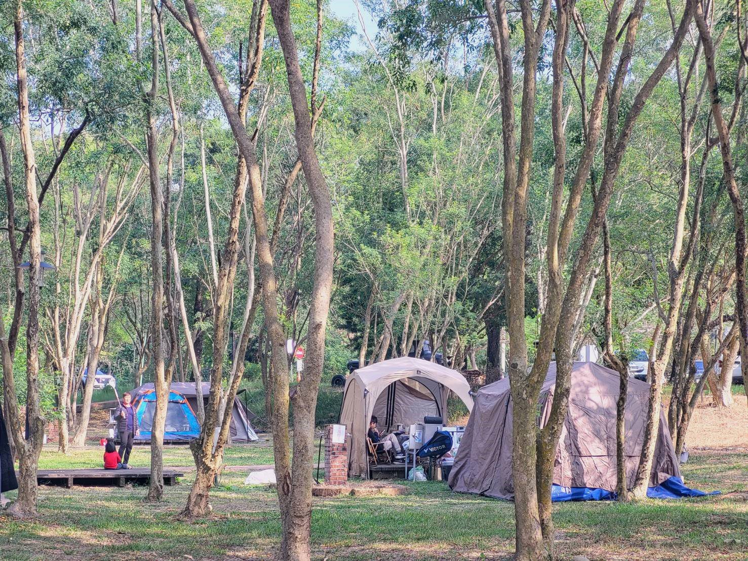 臺南市露營場申設說明會4/17舉辦 歡迎加入營主行列 臺南市露營場申設說明會4/17舉辦 歡迎加入營主行列