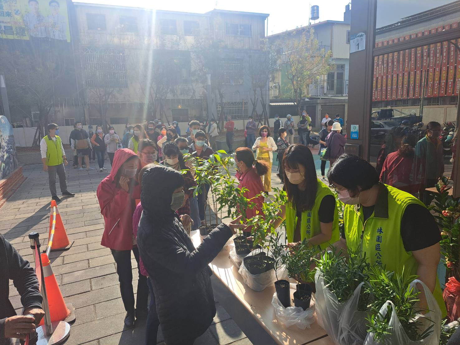 在植樹節種下綠色希望 高雄農業局22800株樹苗免費送市民 在植樹節種下綠色希望 高雄農業局22800株樹苗免費送市民