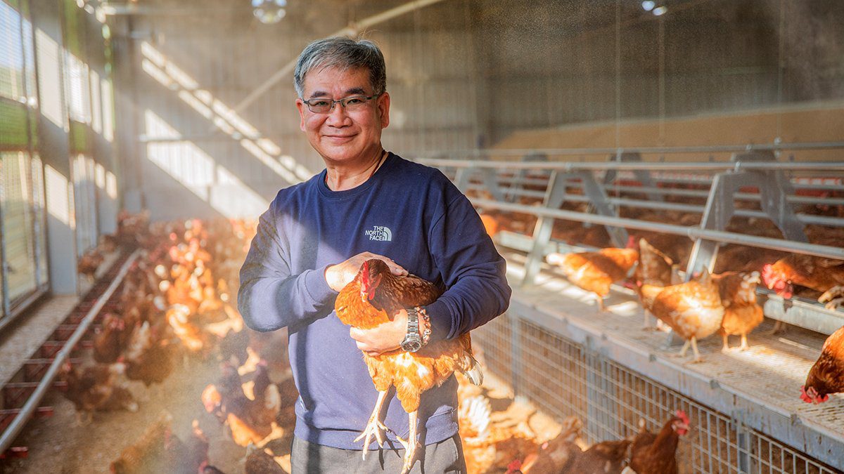 台中首座動物福利友善飼養場誕生 以平飼取代傳統籠飼 台中首座動物福利友善飼養場誕生 以平飼取代傳統籠飼