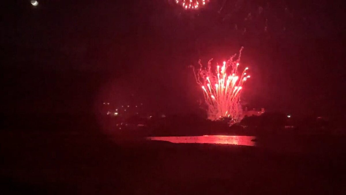 台東縣青銀共創社會暨環境關懷協會籲大坡池國家級濕地於水鳥繁殖季    應以低聲光活動取代熱氣球煙火秀