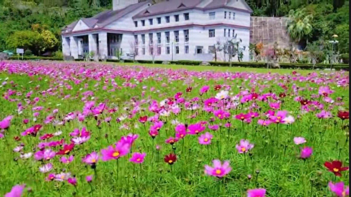 花漾美饌「品味生活新體驗」! 隱世的武陵咖啡廳 花漾美饌「品味生活新體驗」! 隱世的武陵咖啡廳