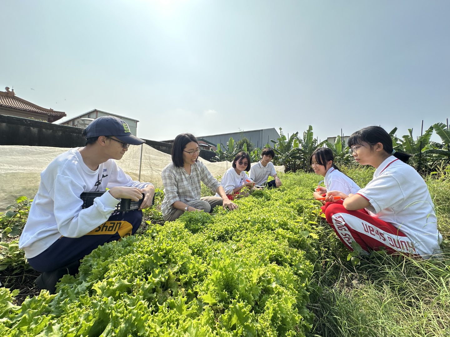 發展科技農業 中山工商園藝技術科 專業師資培育青農人才 發展科技農業 中山工商園藝技術科 專業師資培育青農人才