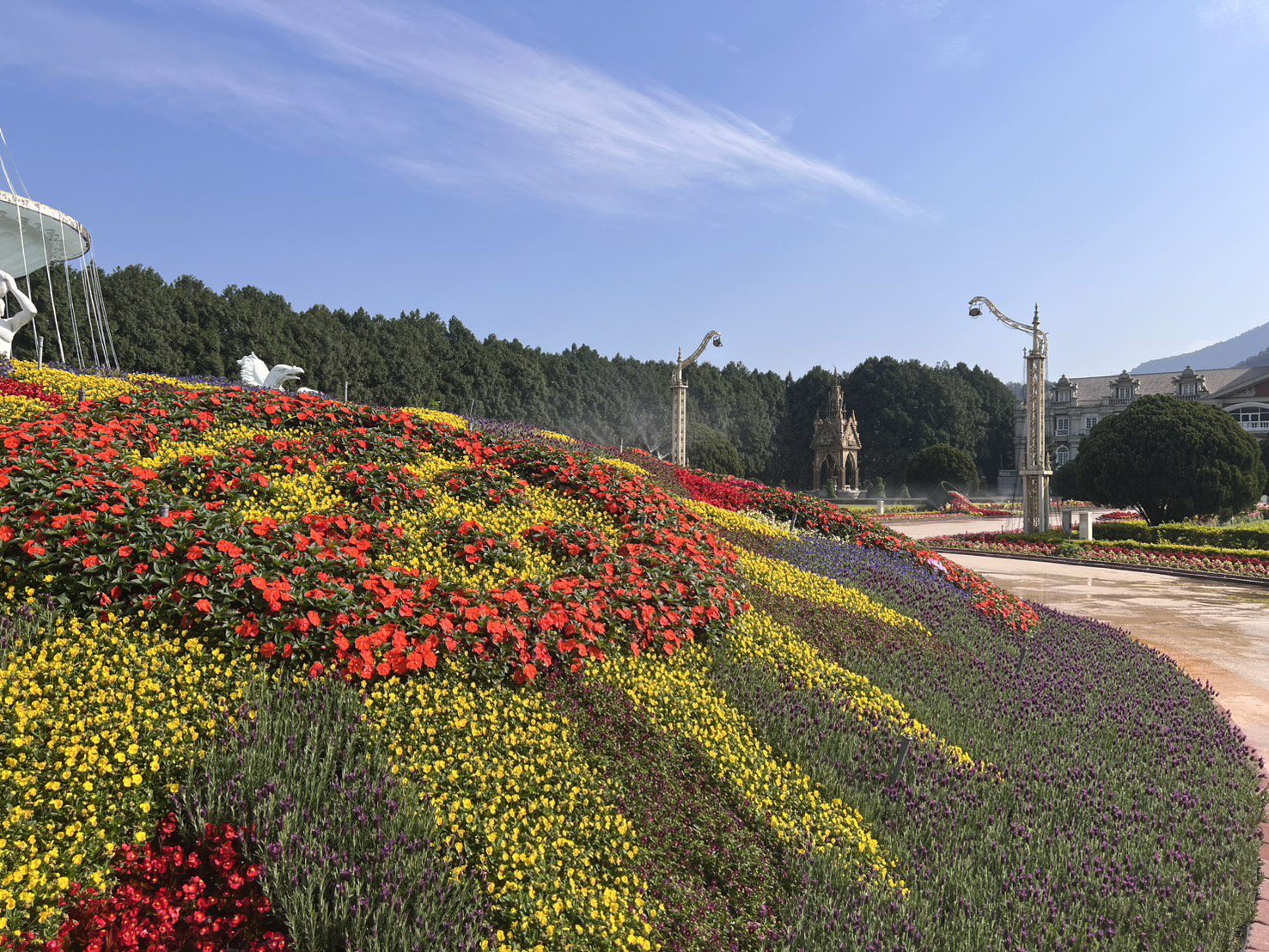 九族薰衣草接力櫻花 邂逅梵谷驚奇艷遇之旅 九族薰衣草接力櫻花 邂逅梵谷驚奇艷遇之旅