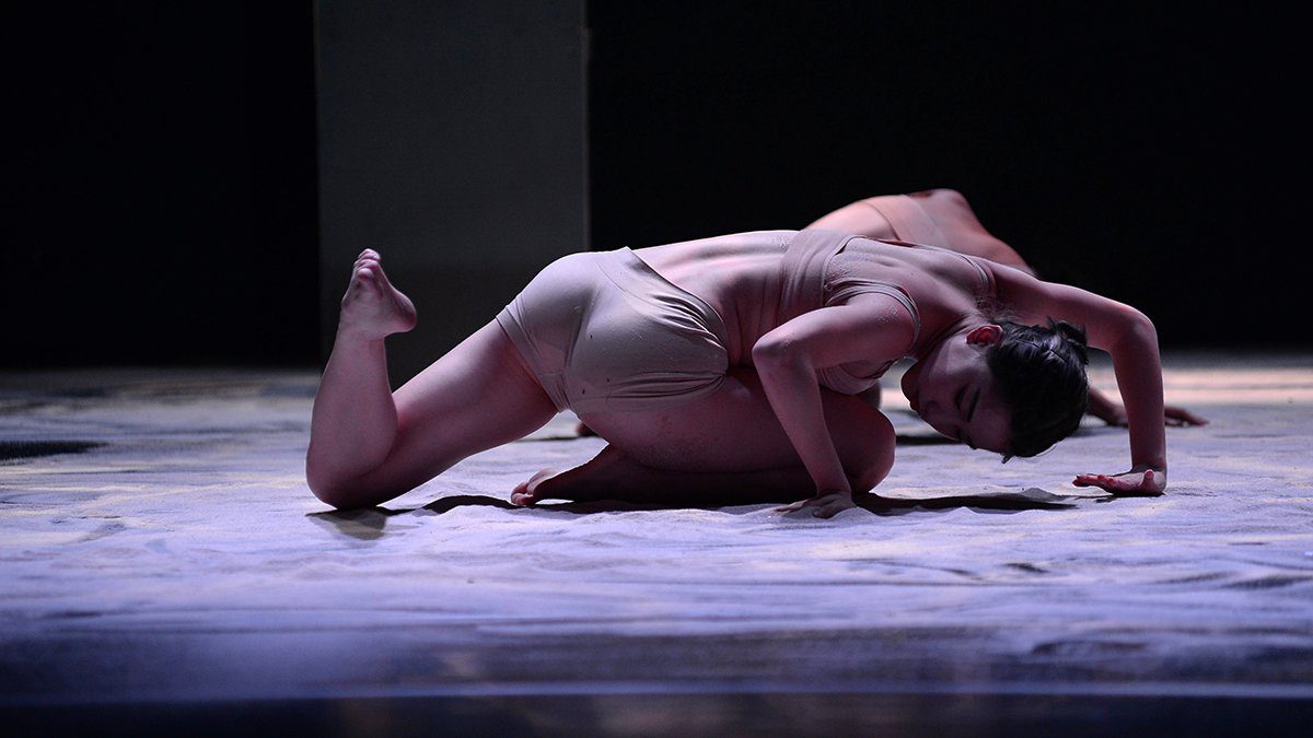 以郊狼視角探討人類生存界限與流動 潘大謙個展《域內・域外》即將登場 以郊狼視角探討人類生存界限與流動 潘大謙個展《域內・域外》即將登場