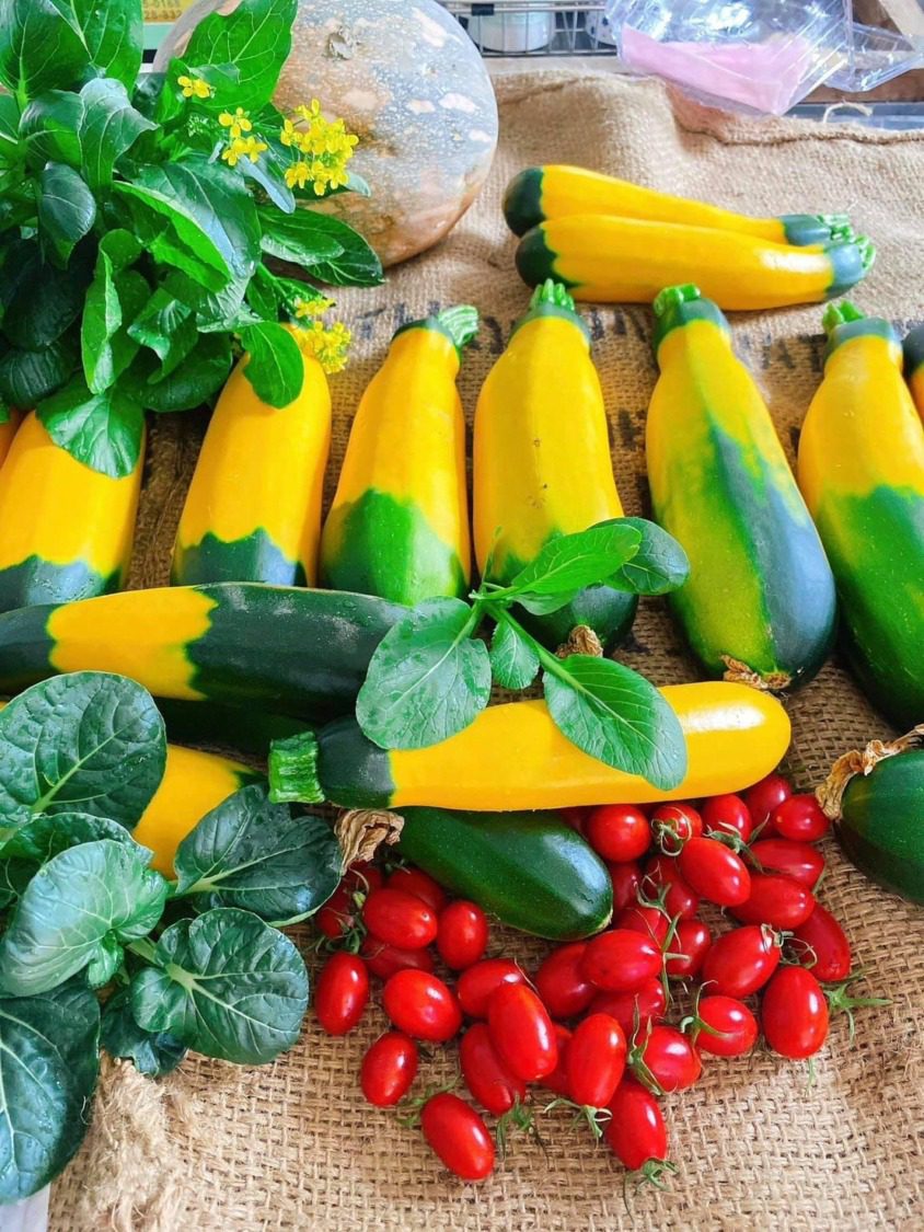 鹿草親子一日遊攻略:手作烘焙、農場採果與乾冰科學大冒險 鹿草親子一日遊攻略:手作烘焙、農場採果與乾冰科學大冒險