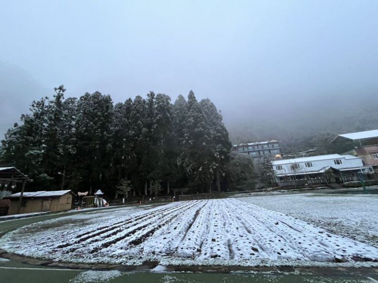 尖石後山飄雪　尖石新光國小今停班停課