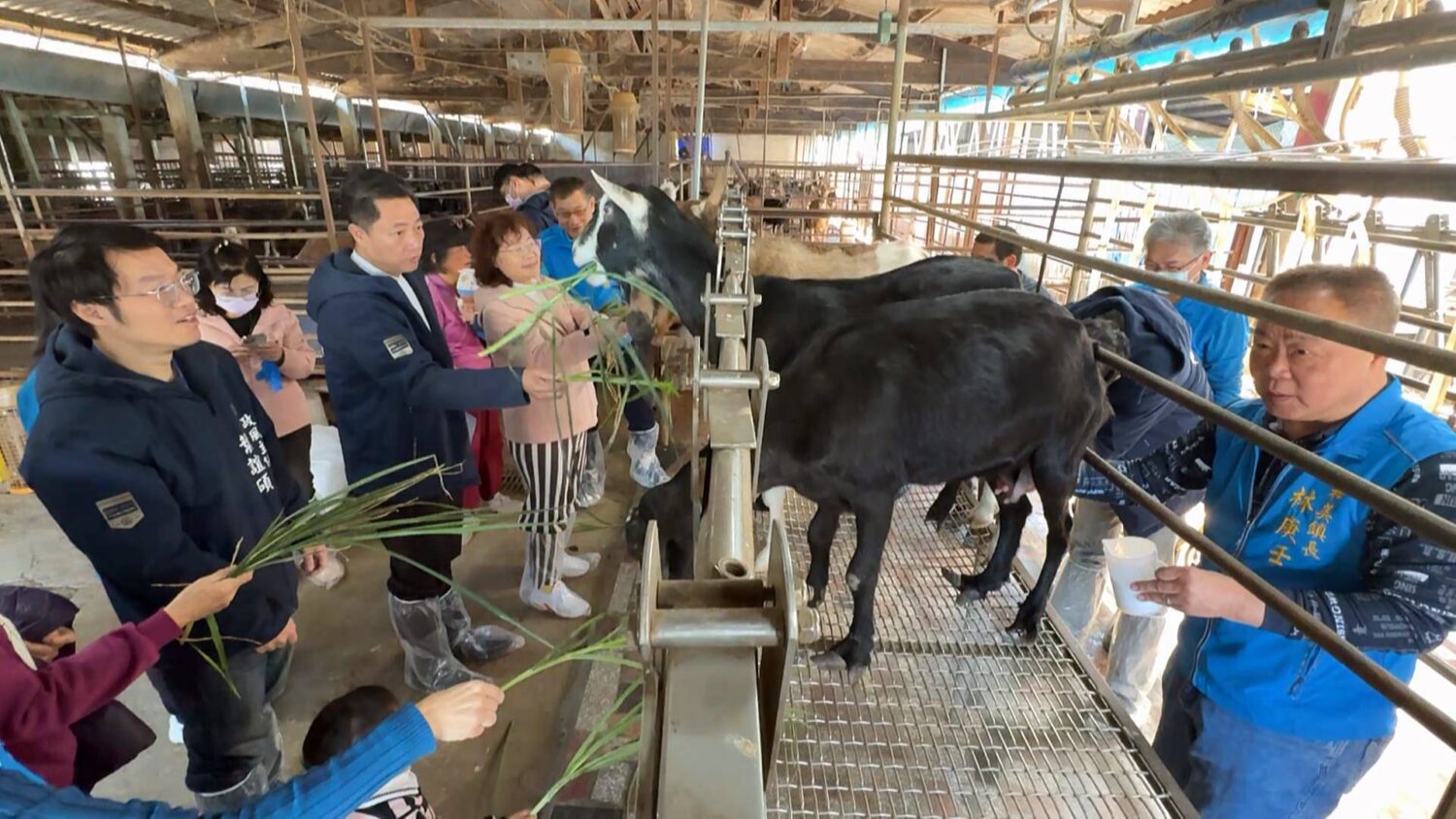 推廣和美在地特色產業 和美鎮長林庚壬率主管參訪佳益牧場 推廣和美在地特色產業 和美鎮長林庚壬率主管參訪佳益牧場