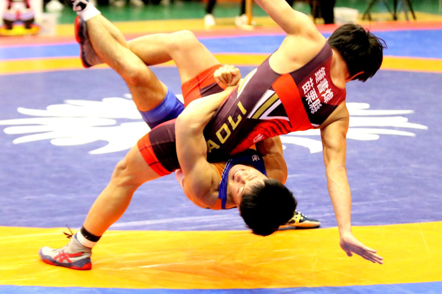 全國原民運登場!高孟軒、謝聖安角力賽奪一金一銀 為高雄爭光 全國原民運登場!高孟軒、謝聖安角力賽奪一金一銀 為高雄爭光