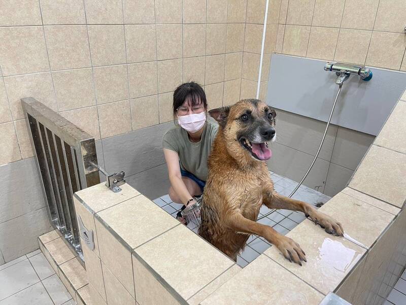 屏縣榮獲113年度動物保護業務評鑑雙獎肯定 持續提升動物福利 屏縣榮獲113年度動物保護業務評鑑雙獎肯定 持續提升動物福利