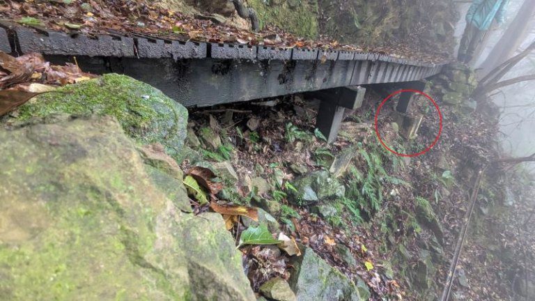 加里山登山步道大坪支線4月21日至4月25日暫時封閉 縣警局請山友提前改山友提前改道或繞道通 加里山登山步道大坪支線4月21日至4月25日暫時封閉 縣警局請山友提前改山友提前改道或繞道通