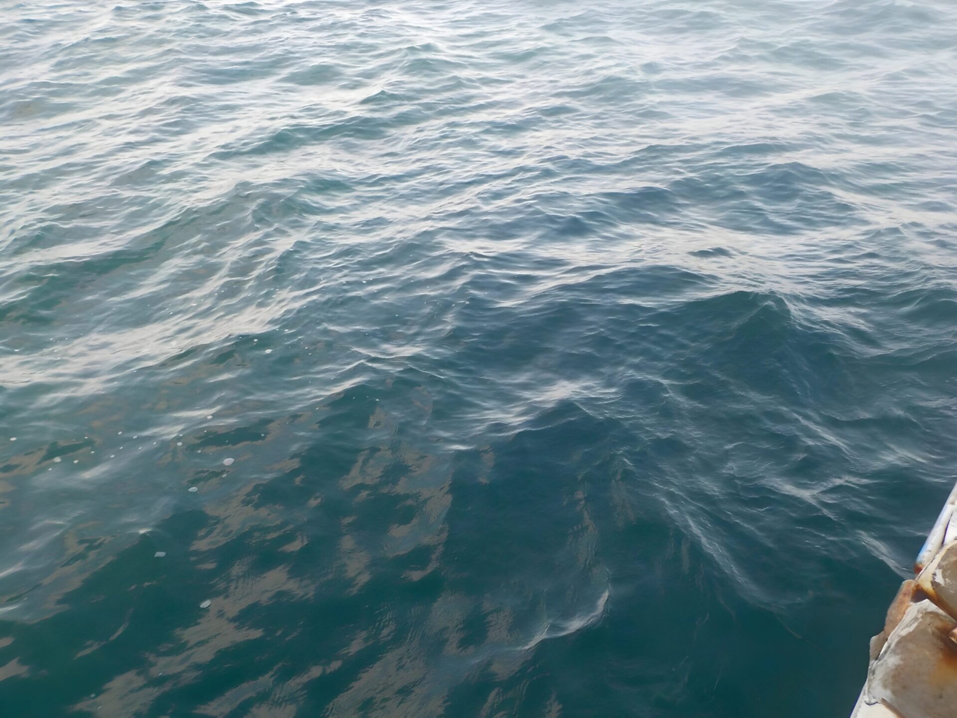 響應3/22世界水資源日 海保署公布海域水質監測年報 響應3/22世界水資源日 海保署公布海域水質監測年報