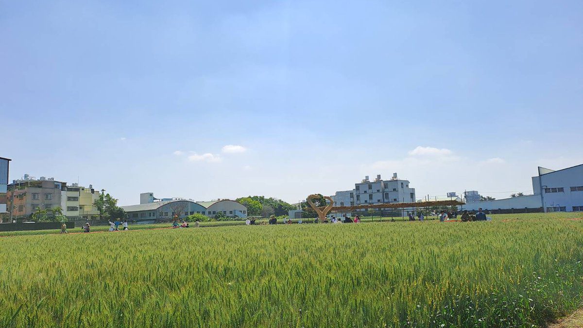 大雅區小麥麵食文化節3月22日熱鬧登場！ 邀您探索麥田美景與特色農產