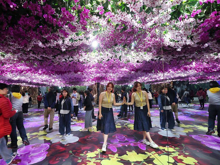 來臺南逛蘭展好康持續至月底　把握最後機會享75家業者優惠遊台南