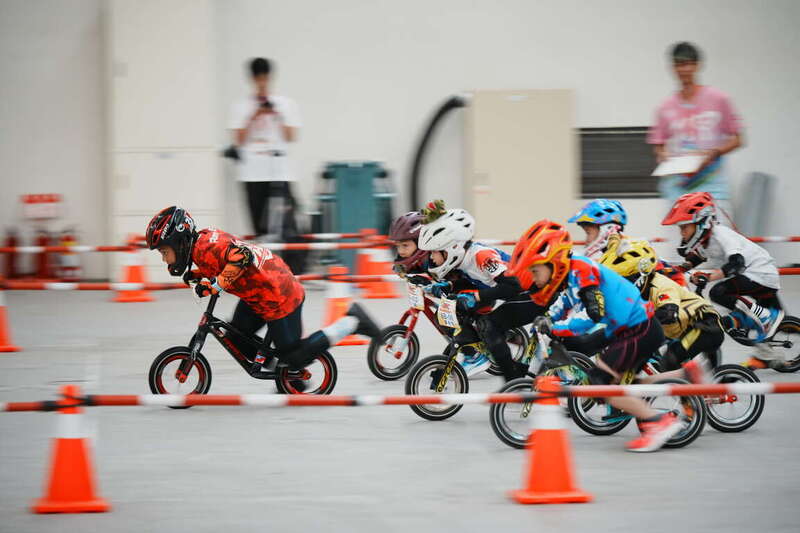 高雄壽山動物園 兒童節全國12歲以下免費入園！還有滑步車、親子闖關、繪畫比賽、藝文表演