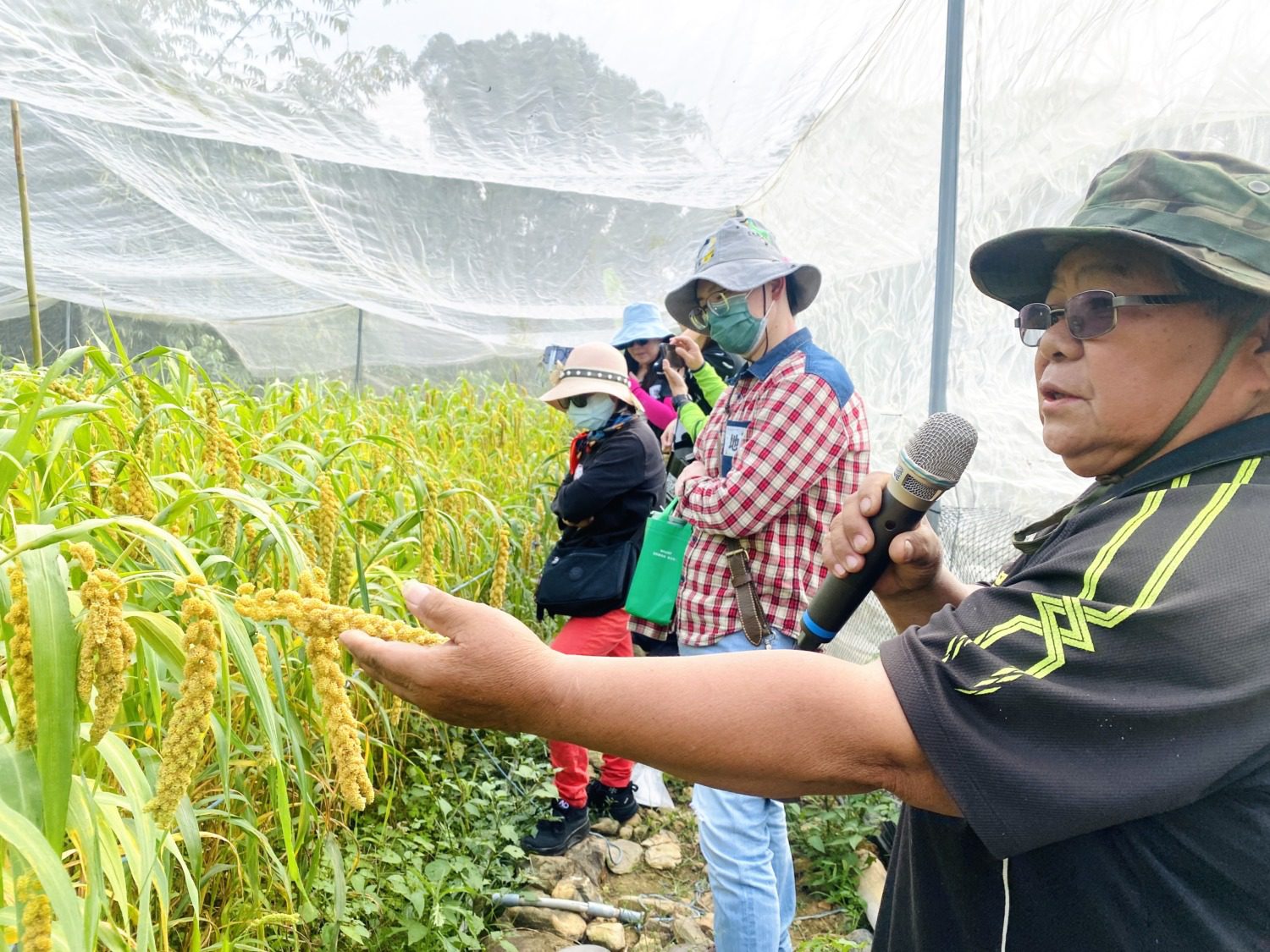 禮納里部落流行新玩法! 茂管處力推小米食藝職人營 禮納里部落流行新玩法! 茂管處力推小米食藝職人營